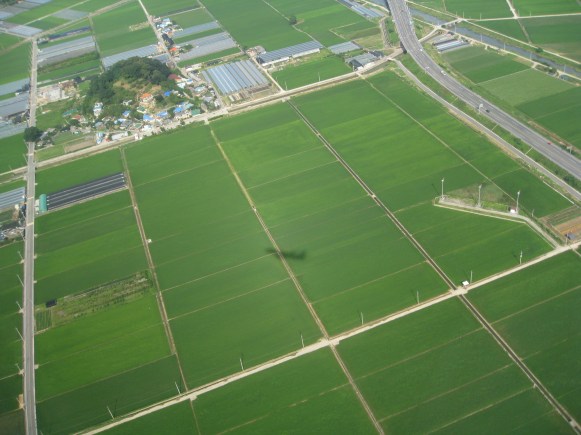 Flying in to Gimhae airport, over the rice paddies, Busan, South Korea